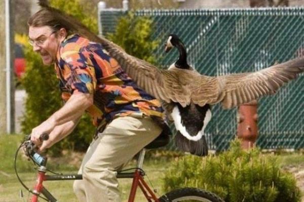 Sosyal medyada payla��m rekoru k�ran kareler yok art�k dedirtiyor!