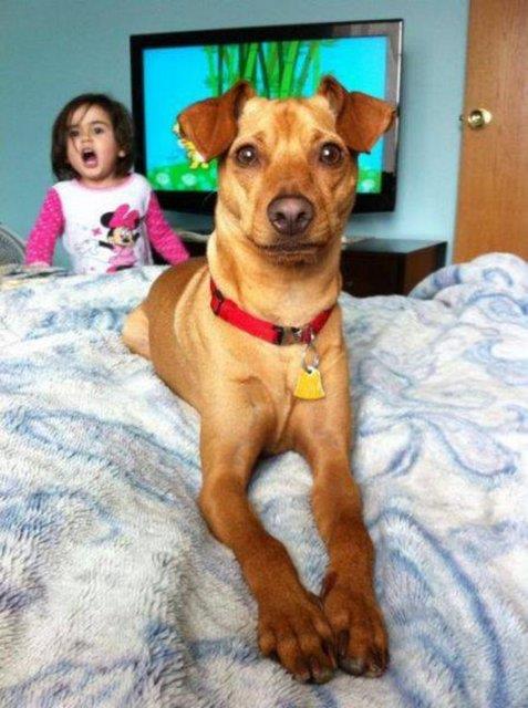 Sosyal medyada payla��m rekoru k�ran kareler yok art�k dedirtiyor!