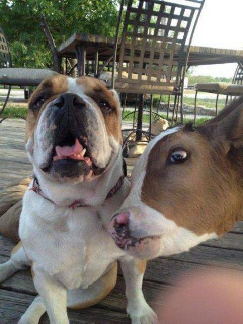 Sosyal medyada payla��m rekoru k�ran kareler yok art�k dedirtiyor!