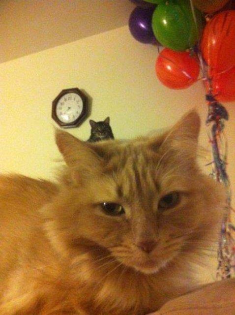 Sosyal medyada payla��m rekoru k�ran kareler yok art�k dedirtiyor!