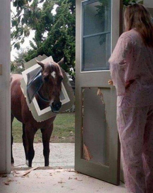 Sosyal medyada payla��m rekoru k�ran kareler yok art�k dedirtiyor!