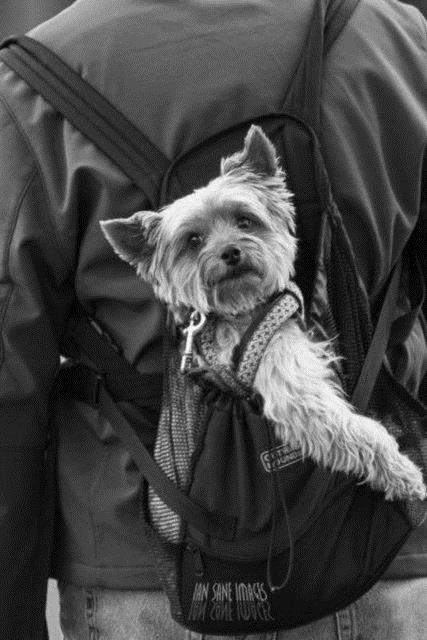 Sosyal medyada payla��m rekoru k�ran kareler yok art�k dedirtiyor!