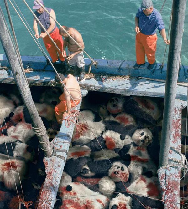 28. Bir ton bal grdnde, aklna Pandalar getir!