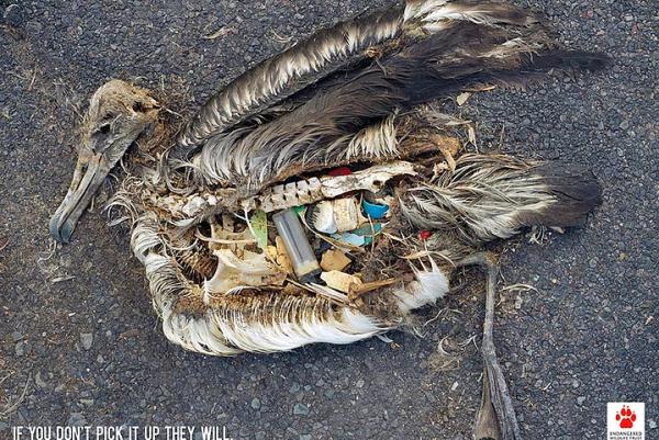 12. Siz toplamazsanz onlar toplayacak!