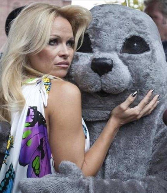 <p><b>Pamela Anderson</b></p>  'Sahil Gvenlik' dizisi ve Playboy'a verdii pozlarla yldz parlayan Pamela Anderson'n hayatn ise bir tirt deitirdi. Anderson renciyken Lions takmnn bir mana gitti...