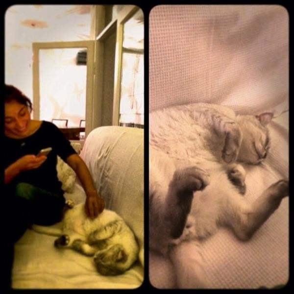 ZYNET SAL  Byle bir uyuma ekli var m ??