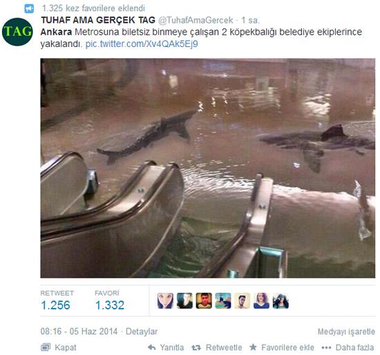 Sosyal medya Ankara'y konuuyor. Yalar sonras Ankara Metrosu ve yollarn su ile dolmas sosyal medyada gnn konusu oldu.