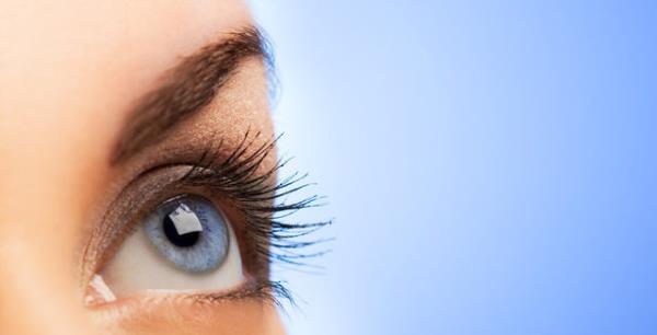 Ka ekimi: 2 bin 250 TL