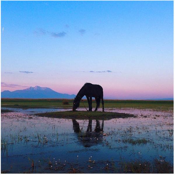 19. Sultan Sazl @punkodelish