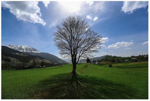 25. Artvin @felecool