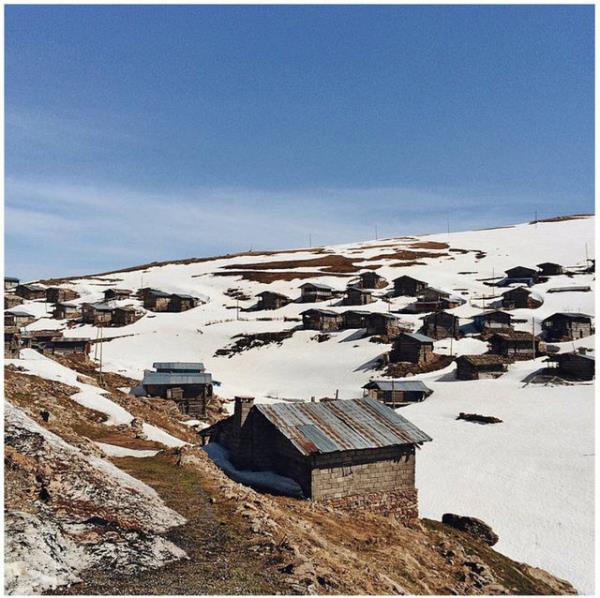 33. Kakarlar @cucinadigitale