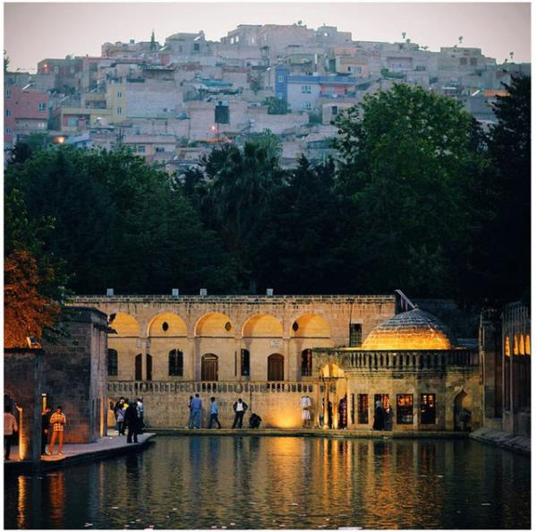 28. anlurfa @grether