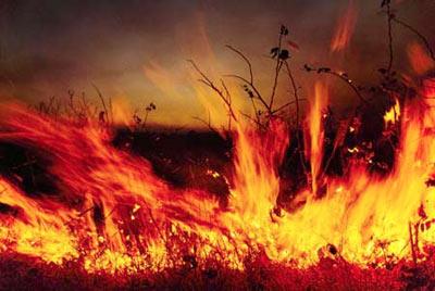 Yine bir kavim grdm; bunlarn boyunlarna ateten dalar gibi byk halkalar geirmilerdi.   <p><b>Bunlar kimlerdir? Diye sordum; Malik yle anlatt: </b></p>  Bunlar, zerlerinde bulunan emanetleri sahiplerine vermeyenlerdir.