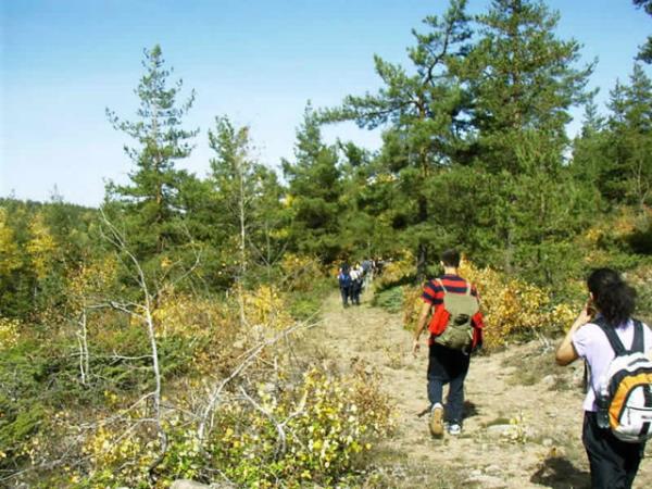 Ayrca yolda gzel sohbetler yapabileceiniz harika bir aktivite...