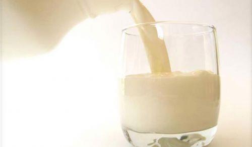 <p><b>14. Pastrize olmayan st </b></p>  Avrupa'da yaygn olarak kullanlan pastrize olmayan ham stn, ilem geirmi stten daha besleyici ve lezzetli olduu dnlr. Ancak Amerika'nn 22 eyaletinde, listeriosis, salmonella, e-coli ve Campylobacter bakterilerini ve mikrop tayabilecei tehlikesiyle yasaktr. Yasa sadece pastrize olmayan st deil, pastrize olmayan tm gnlk mamlleri yasaklamaktadr.