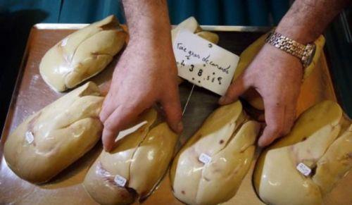 <p><b>2. Kaz cieri </b></p>  Kaz cieri Franszlarn mehur lezzetli yemeklerinden biridir ve 'yal cier' anlamna gelir. rdek veya kaz cierinden yaplr. Buraya kadar her ey normal, kularn boazlarna sokulan metal tple gnde 2 kilodan fazla yemek yemeye zorlanmas dnda. Yntem gnlerce, kularn cierleri normalden 10 kat daha byk olana kadar tekrarlanr. Sonrasnda cierler zel tadn almas iin bal ve st ierisinde saklanr. Hayvanlarn maruz kald vahice tutum nedeniyle Amerika'nn baz eyaletleri dahil 14 lkede kaz cieri yemek yasaklanmtr.