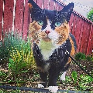 15. Fotoraflarda kullanmak zere en iyi surat anz bulun.