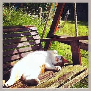 21. Ve en nemlisi, kim olduunuzla ilgili bir sorununuz olmasn, kendinizle bark olun!