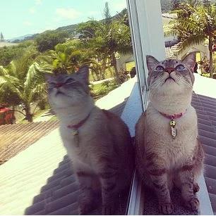 5. Tartmalar biraz da dier bak alaryla, dier taraflaryla deerlendirmeye aln.