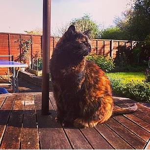 18. Daha sabrl olun.