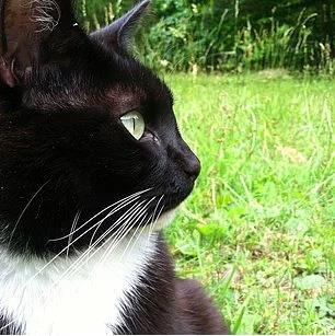 6. Komularnz ya da yakn oturan arkadalarnz izleyin, nelerden holandklarn grnce kk srprizlerle martn.