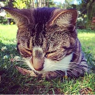 19. Daha iyi konsantrasyon metotlar bulun ve gerekten onlar hayatnzda kullanmaya balayn.