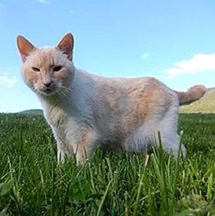 7. Kendinize daha ok gvenin.