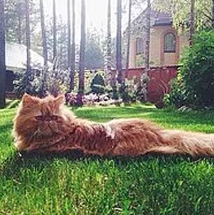 8. Ya da en azndan daha az endielenmeyi renin.