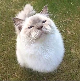 1. Kim olduunuza dair, neleri sevdiinize dair, oturup biraz dnn.