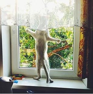 14. Her ayrntsyla kocaman bir gezi ayarlayn. Gidemeseniz bile, organizasyonunuz tam olsun.