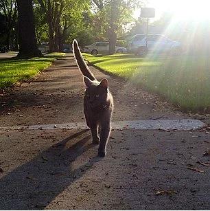 4. Bol bol yry yapn.