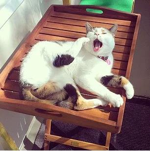 13. Sadece yle bir uzanp rahatlayn.