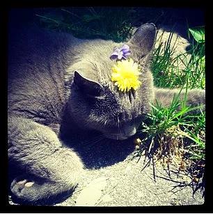 10. Doa anayla bir olun. :)