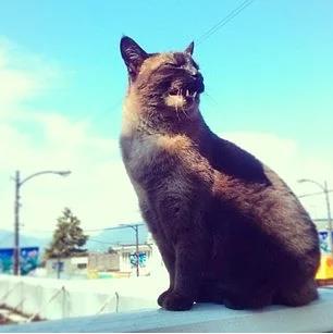 11. Yeni bir gl deneyin, yeni bir kahkaha. Belki bunca zamandr yanl glyordunuz.