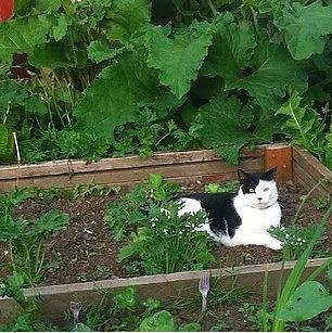 2. Kendi banza yeni bir yer kefetmeye gidin.Sokaklara dkln, neler reneceinize siz bile aracaksnz.