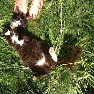 20. apallk etmekten utanmayn, yeni insanlarla tann.