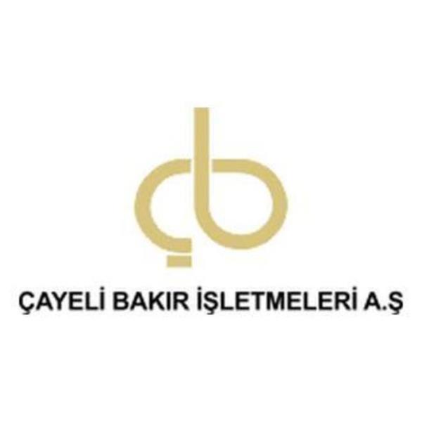 32- AYEL Bakr Tahakkuk eden vergi: 68.733.511 TL