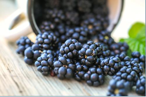 <b>Brtlen:</b> Brtlenin iinde bulunan ellagik asit, antioksidandr. Brtlenin en nemli etkisi cildi genletirmesi ve hcre yalanmasn geciktirmesidir. Brtlen kan ekerini dengeler, kan temizler, cildi gzelletirir. C vitamini deposudur; ayrca B grubu vitaminleri de ierir.