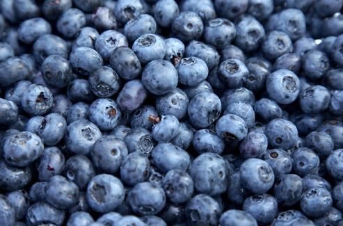 <b>Yaban mersini:</b> Yaban mersini, C ve E vitamini, potasyum, demir, folik asit ve lif asndan iyi bir kaynaktr. Yaban mersinine puslu mavi rengini veren antosiyanin maddesi deerli bir antioksidandr. Baklk sistemimizi glendirerek hastalklara kar vcudumuzu korur. 1 fincan taze yaban mersini 1 adet meyve yerine tketilebilir. Kuru yaban mersininin ise, 2 yemek kanda 1 adet meyvenin kalorisi vardr.