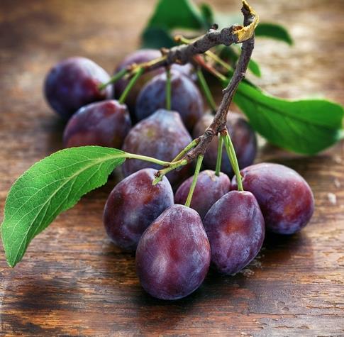 <b>Mrdm erii:</b> Vcudun demir emilimine yardmc olan C vitamini asndan zengindir ve iyi bir A vitamini, B2 vitamini ve potasyum kaynadr. Mrdm erii ayn zamanda iyi bir diyet lifi kaynadr. Yaplan son bir aratrma, dzenli kuru mrdm erii tketiminin tansiyonu ve kt kolesterol drebileceini gstermektedir. Ayrca, antioksidan etki gstermektedir