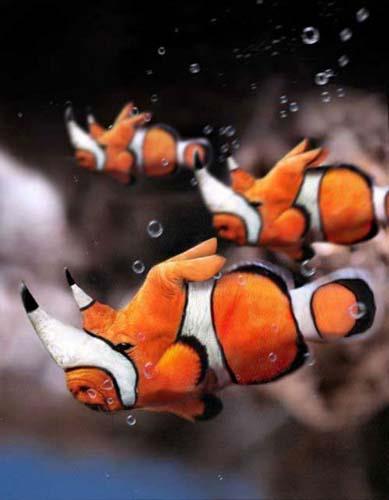 Birazck photoshop'la srad hayvanlar oluturmak mmkn... te Photoshop icad hayvanlar...