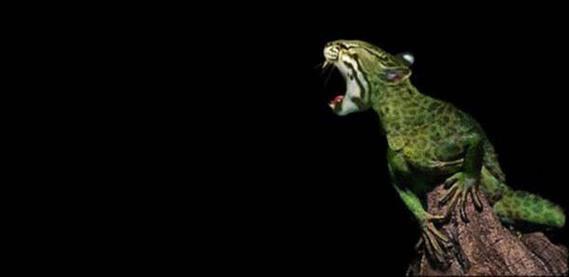 Birazck photoshop'la srad hayvanlar oluturmak mmkn... te Photoshop icad hayvanlar...