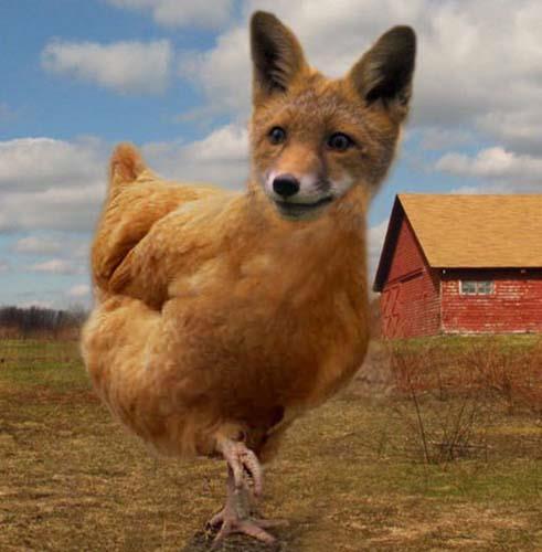 Birazck photoshop'la srad hayvanlar oluturmak mmkn... te Photoshop icad hayvanlar...