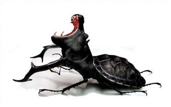 Birazck photoshop'la srad hayvanlar oluturmak mmkn... te Photoshop icad hayvanlar...