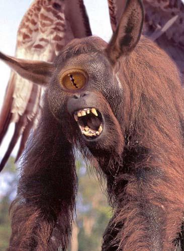 Birazck photoshop'la srad hayvanlar oluturmak mmkn... te Photoshop icad hayvanlar...