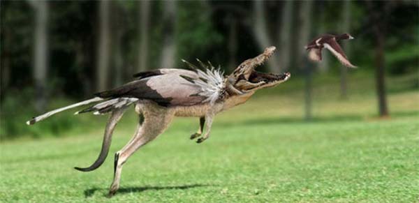 Birazck photoshop'la srad hayvanlar oluturmak mmkn... te Photoshop icad hayvanlar...