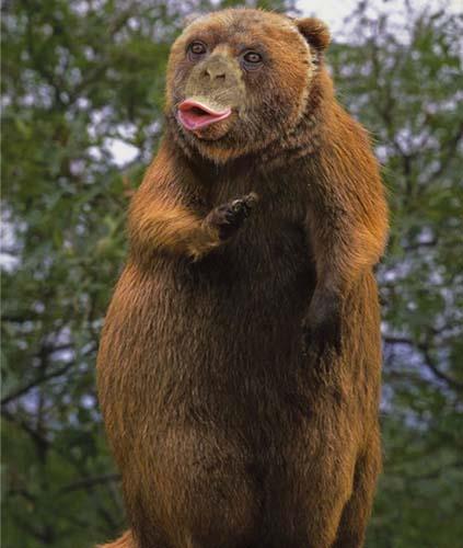 Birazck photoshop'la srad hayvanlar oluturmak mmkn... te Photoshop icad hayvanlar...