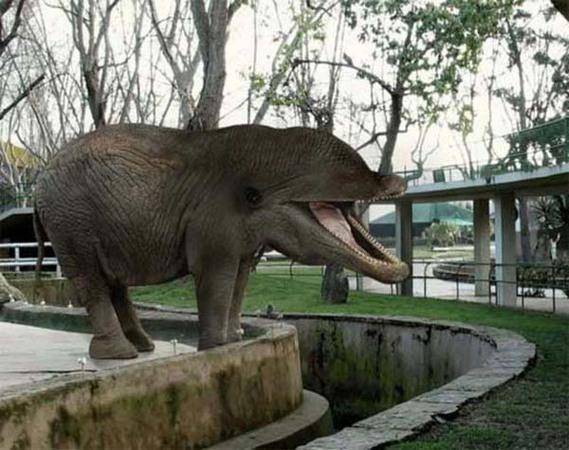 Birazck photoshop'la srad hayvanlar oluturmak mmkn... te Photoshop icad hayvanlar...