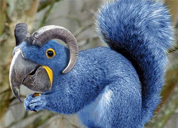 Birazck photoshop'la srad hayvanlar oluturmak mmkn... te Photoshop icad hayvanlar...