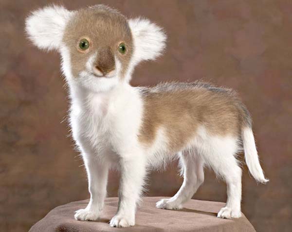 Birazck photoshop'la srad hayvanlar oluturmak mmkn... te Photoshop icad hayvanlar...